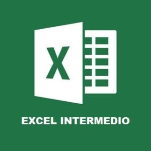 Excel Intermedio Individual - En línea