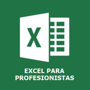 Excel para Profesionistas Individual - Presencial